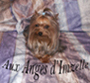 aux Anges d'Imzelle